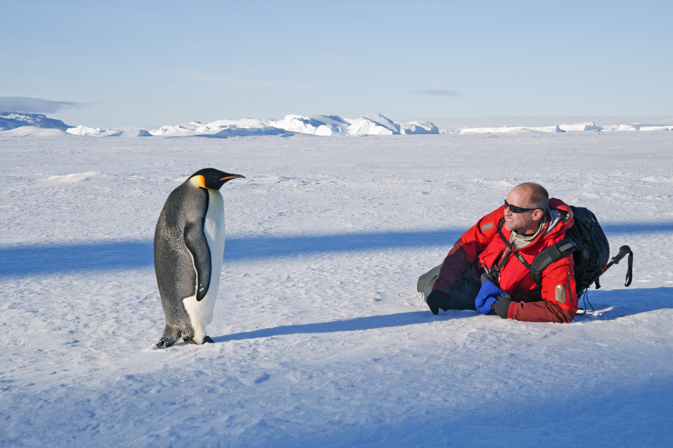 A man lying on his side on the ice, close to an emperor penguin standing motionless.