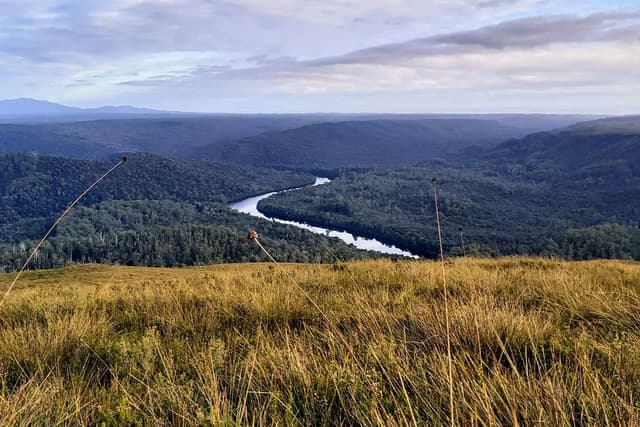 walk-tasmanias-tarkine-cradle-mountain