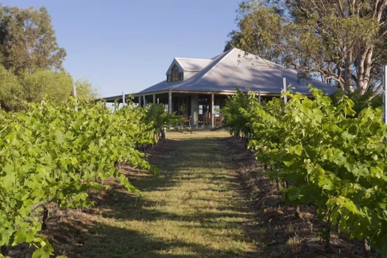 spicers-vineyards-estate-north-travel