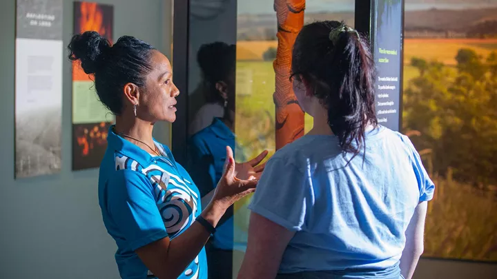 visit-te-papa-museum-wellington-new-zealand-north-travel