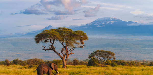 19-day-ultimate-african-safari-north-travel