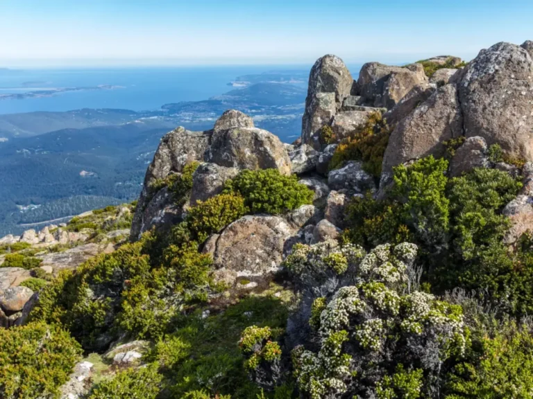 image-2024-11-11-11-34-34