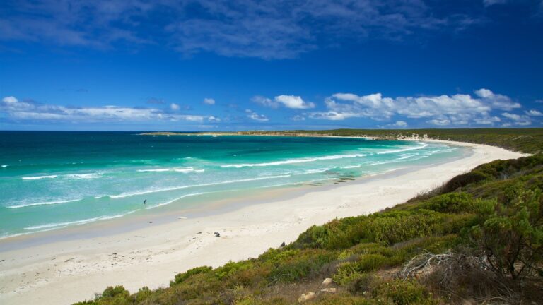 ultimate-kangaroo-island-tour-6633-47f7-a3e1-e4a58cf9a74d