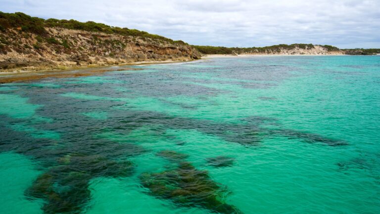 ultimate-kangaroo-island-tour-ca3a-4fed-a7ff-b12fca8bcbc7