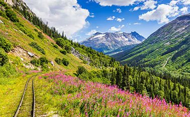 7-day-inside-passage-emerald-princess