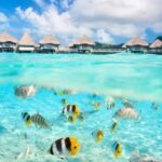 An Insider’s Guide to French Polynesia: Tahiti, Moorea, and Bora Bora 