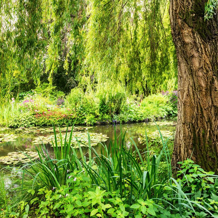paris-to-normandy-with-3-nights-in-london
