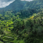 Ubud: The Cultural Heart & Jungle Sanctuary 