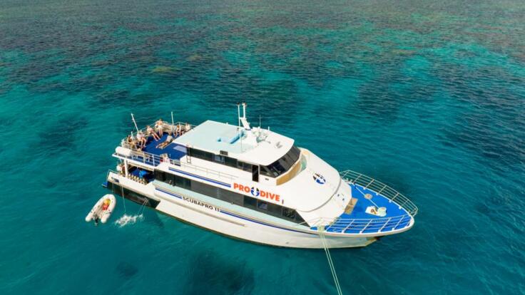 pro-dive-cairns-33-1_736x414