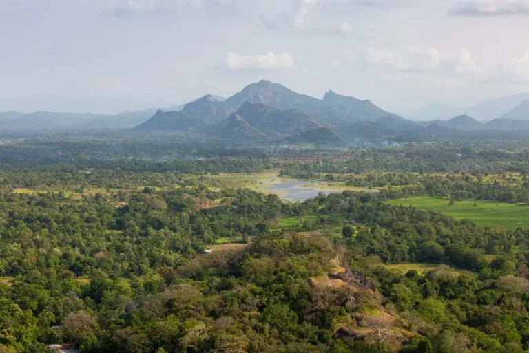 intrepid-travel-intrepid-travel_sri-lanka_sigiriya_summit-view-from-sigiriya_41
