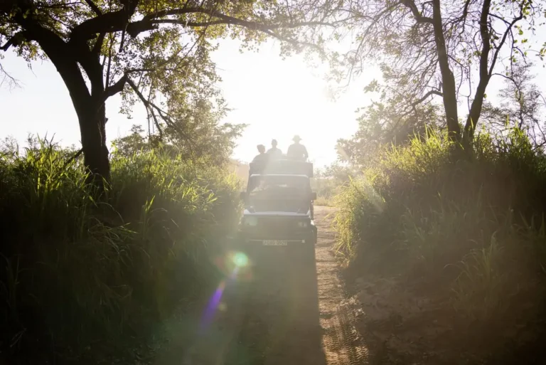 intrepid-travel-sri-lanka-dambulla-minneriya-national-park-jeep-group-sunset