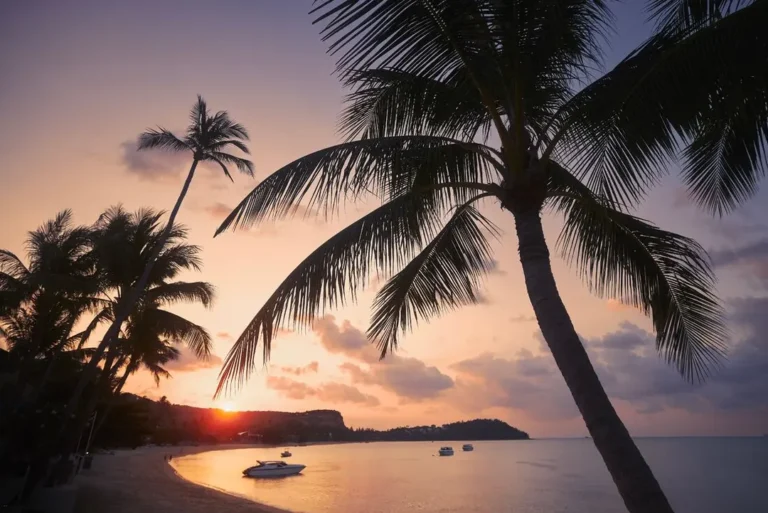 intrepid-travel-thailand-koh-samui-island-palm-trees-sunset-beach-shutterstock-2280001065