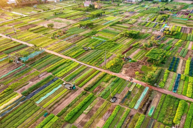 intrepid-travel-vietnam-phong-nha-tan-hoa-vegetable-village-shutterstock-2648922267