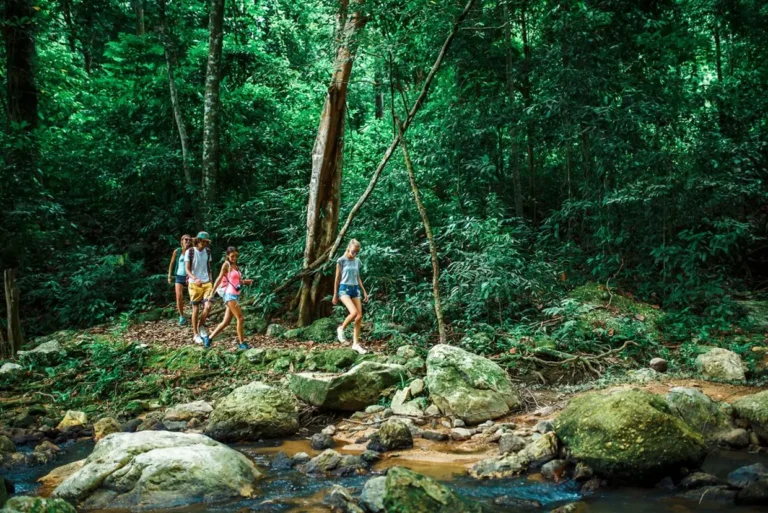 intrepid-travel-vietnam-family-rainforest-travelllers-river-trek-shutterstock-557443261