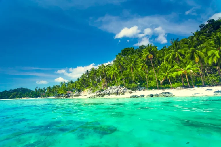 intrepid_travel-thailand_koh-samui_beach-palm-trees