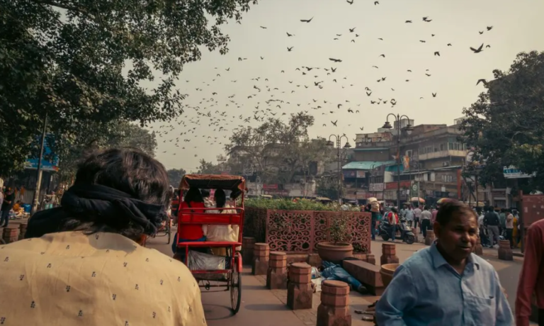 india-golden-triangle-premium-family-holiday